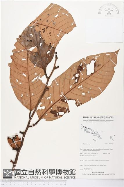 登錄號:BS04924藏品圖，第1張
