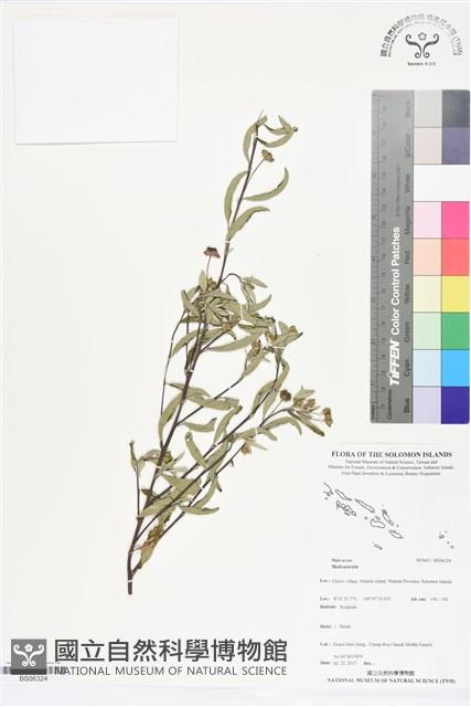 登錄號:BS06324藏品圖，第1張