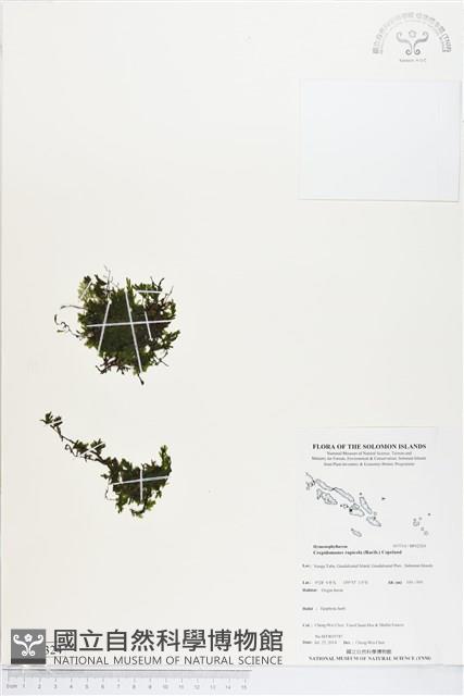 Accession Number:BP02324 Collection Image