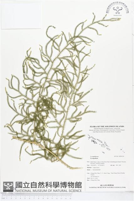 登錄號:BP00324藏品圖，第1張