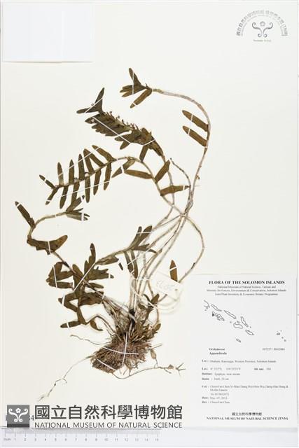 登錄號:BS02884藏品圖，第1張