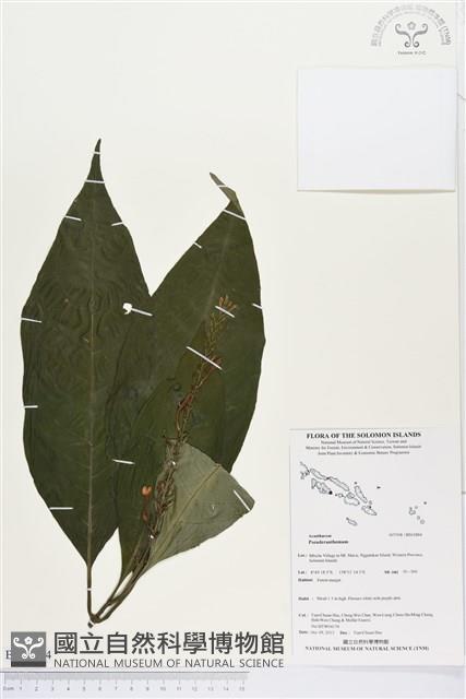登錄號:BS03884藏品圖，第1張