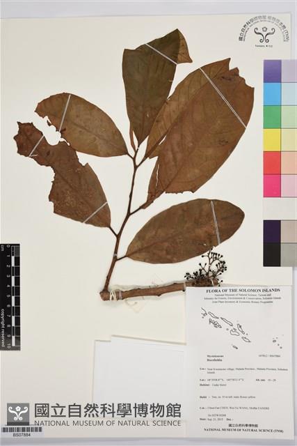 登錄號:BS07884藏品圖，第1張