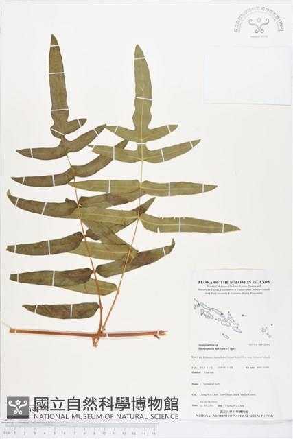 登錄號:BP02084藏品圖，第1張