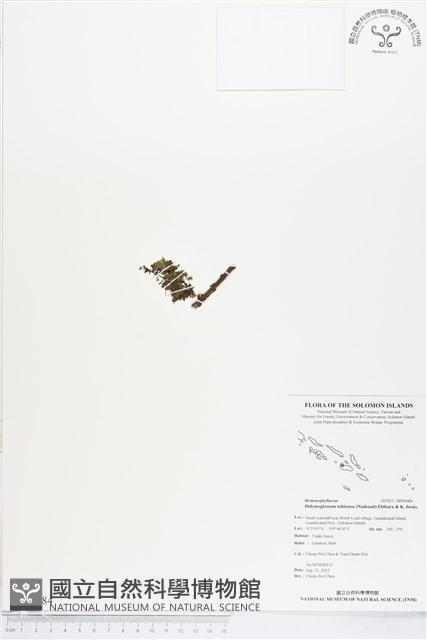 登錄號:BP00084藏品圖，第1張