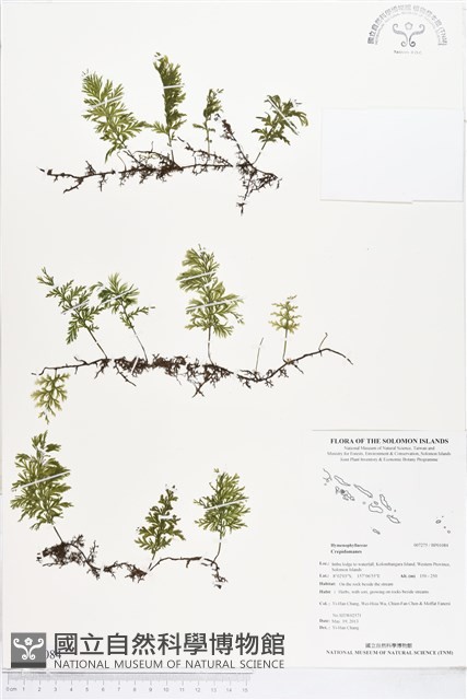 登錄號:BP01084藏品圖，第1張