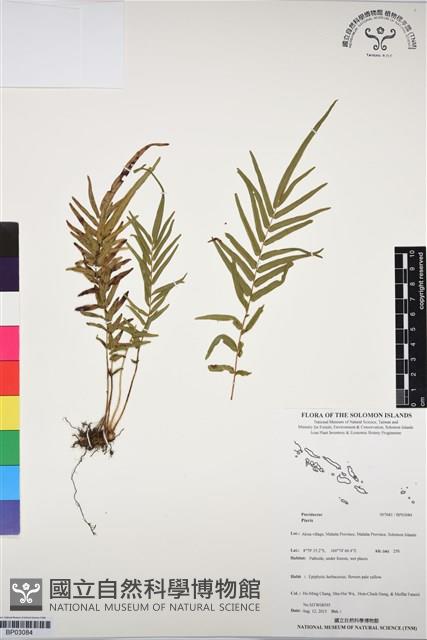 登錄號:BP03084藏品圖，第1張