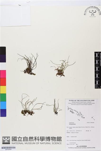 登錄號:BP02684藏品圖，第1張