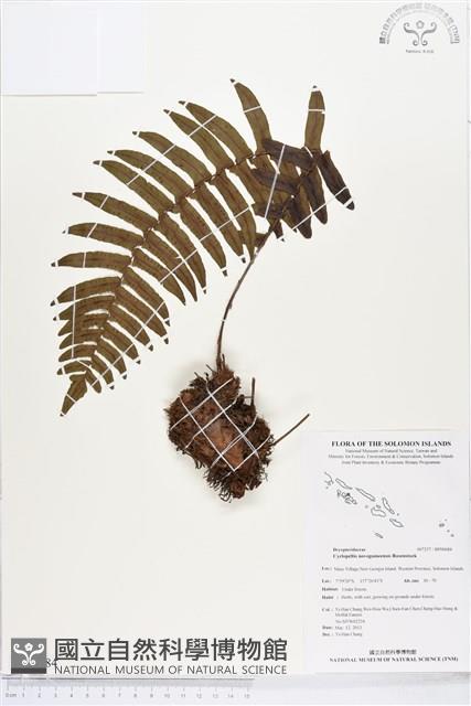 登錄號:BP00684藏品圖，第1張