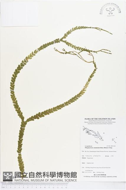 登錄號:BP01684藏品圖，第1張