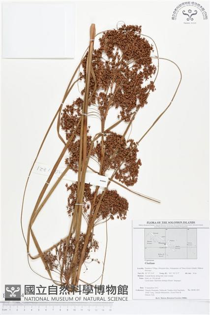 登錄號:BS01684藏品圖，第1張