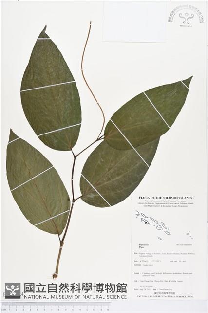 登錄號:BS03684藏品圖，第1張