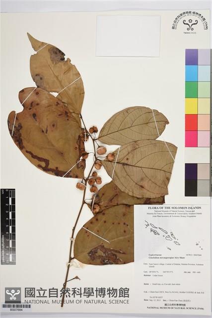 登錄號:BS07684藏品圖，第1張