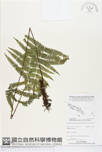 Accession Number:BP02184 Collection Image