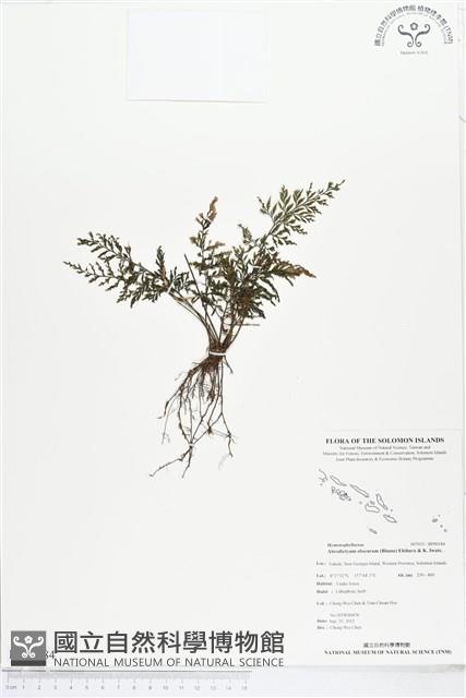 登錄號:BP00184藏品圖，第1張