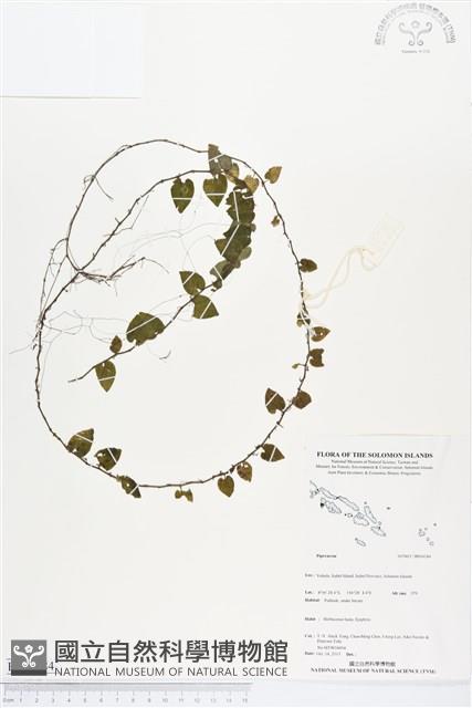 登錄號:BS04184藏品圖，第1張