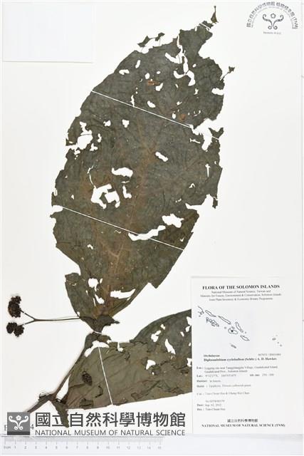 登錄號:BS01484藏品圖，第1張