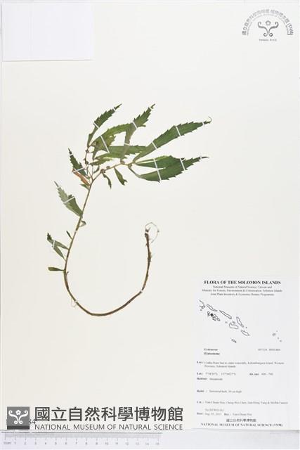 登錄號:BS03484藏品圖，第1張