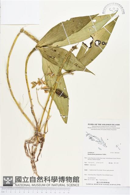 登錄號:BS04284藏品圖，第1張