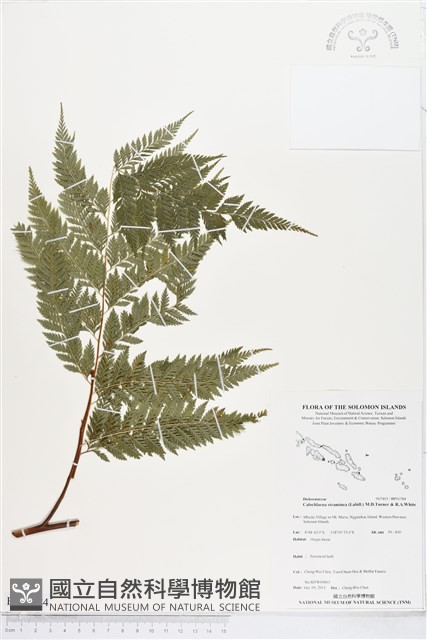 登錄號:BP01784藏品圖，第1張