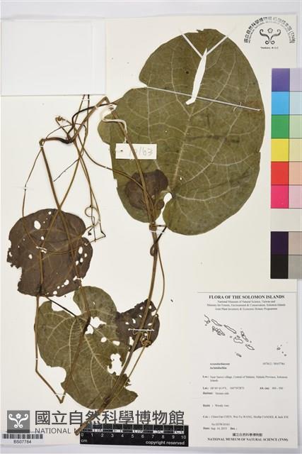 登錄號:BS07784藏品圖，第1張