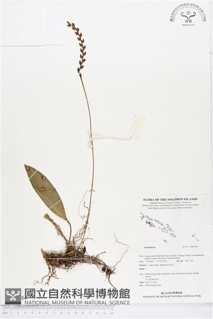 登錄號:BS02584藏品圖，第1張