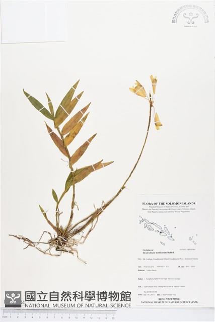 登錄號:BS04584藏品圖，第1張