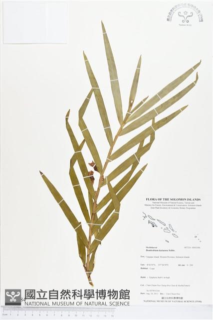 登錄號:BS03584藏品圖，第1張