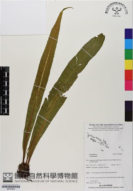 登錄號:BP02984藏品圖，第1張