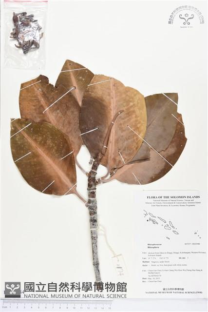 登錄號:BS02984藏品圖，第1張