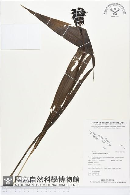 登錄號:BS01984藏品圖，第1張