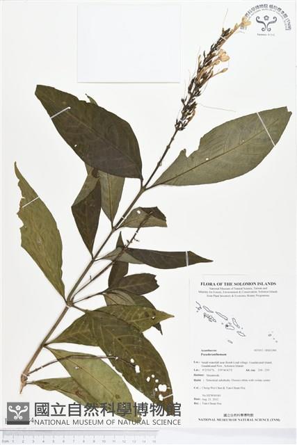 登錄號:BS01384藏品圖，第1張