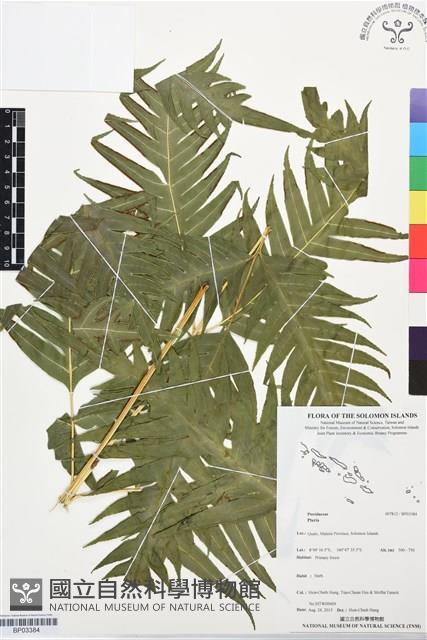 登錄號:BP03384藏品圖，第1張