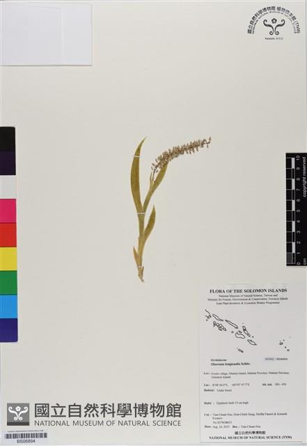 登錄號:BS06894藏品圖，第1張