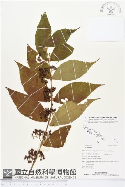 登錄號:BS02894藏品圖，第1張