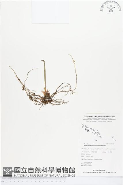 登錄號:BS01894藏品圖，第1張