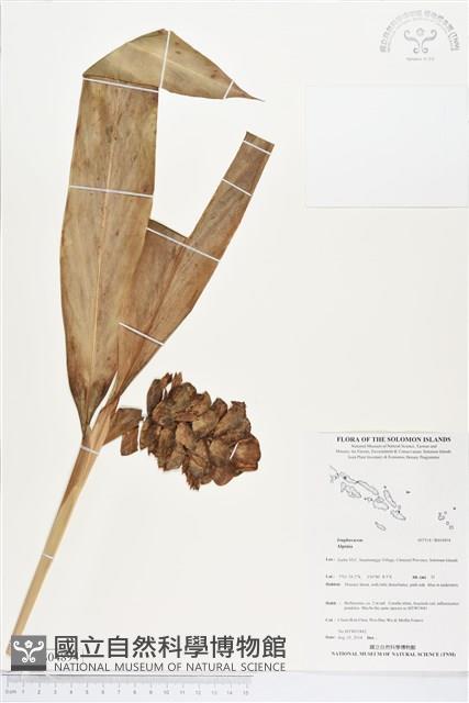 登錄號:BS04894藏品圖，第1張