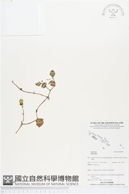 登錄號:BS03894藏品圖，第1張