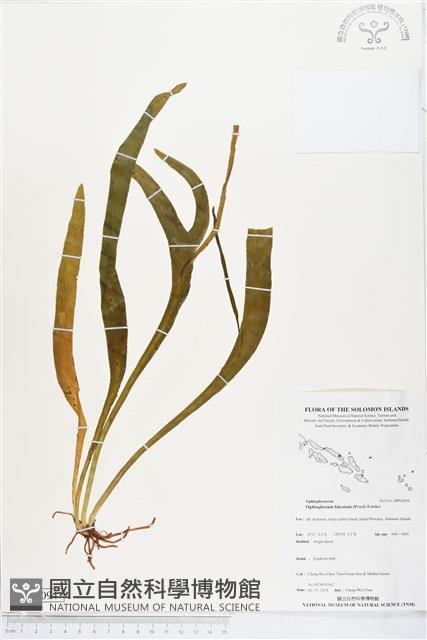 登錄號:BP02094藏品圖，第1張