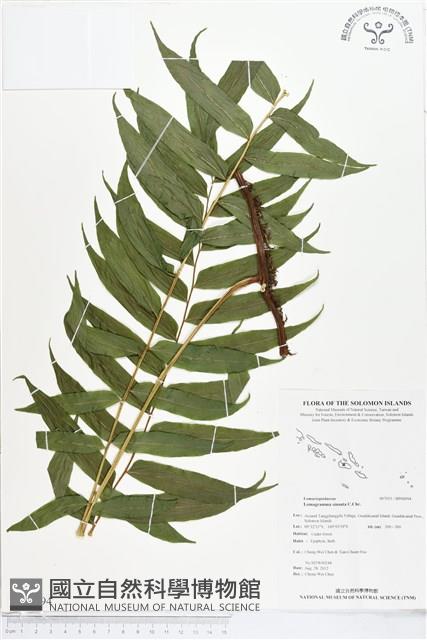 登錄號:BP00094藏品圖，第1張