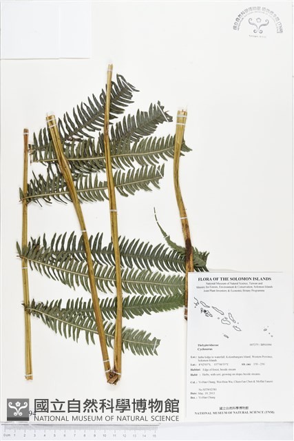 登錄號:BP01094藏品圖，第1張