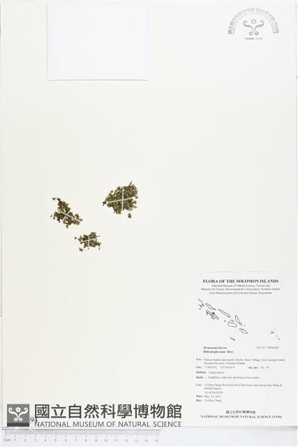 登錄號:BP00694藏品圖，第1張