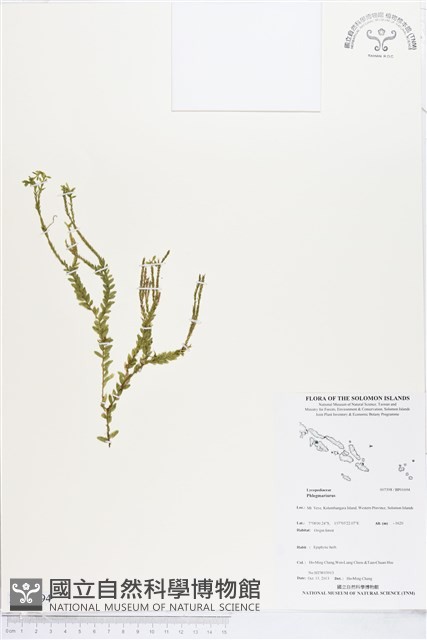 登錄號:BP01694藏品圖，第1張