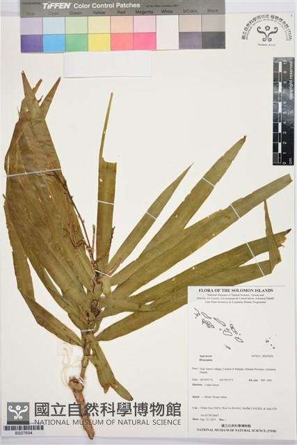 登錄號:BS07694藏品圖，第1張