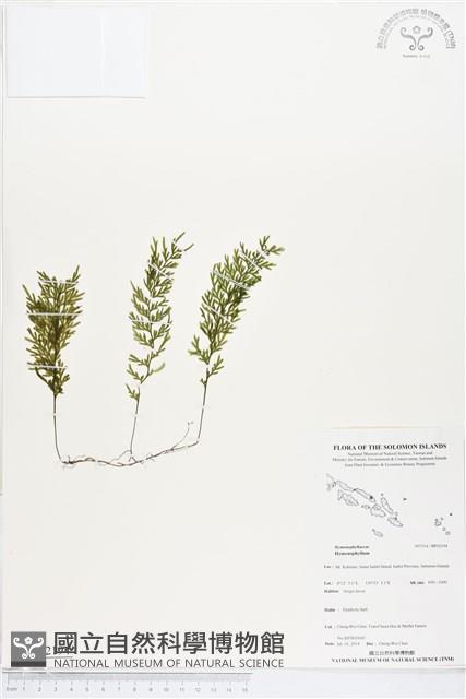 登錄號:BP02194藏品圖，第1張