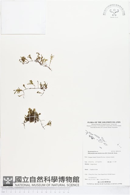 登錄號:BP01194藏品圖，第1張