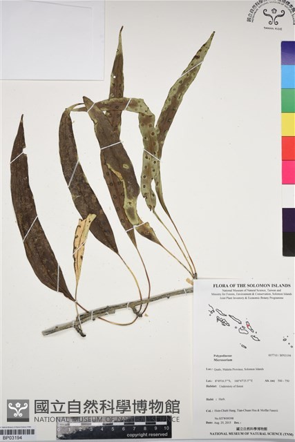 登錄號:BP03194藏品圖，第1張