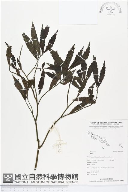 登錄號:BS03194藏品圖，第1張