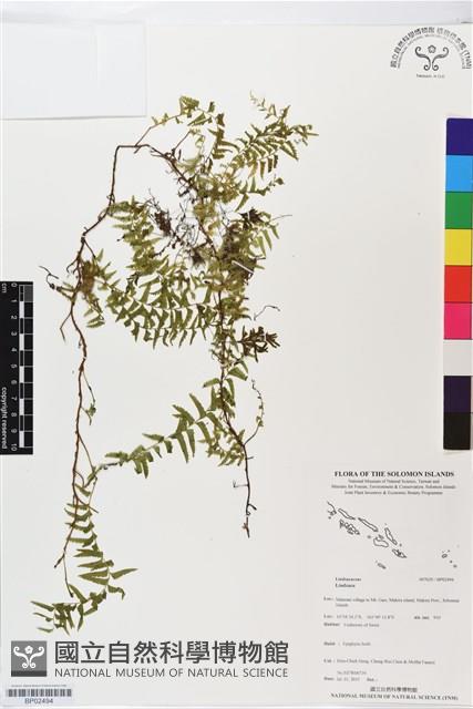 登錄號:BP02494藏品圖，第1張