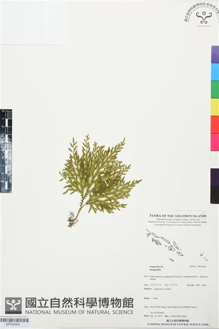 登錄號:BP03494藏品圖，第1張